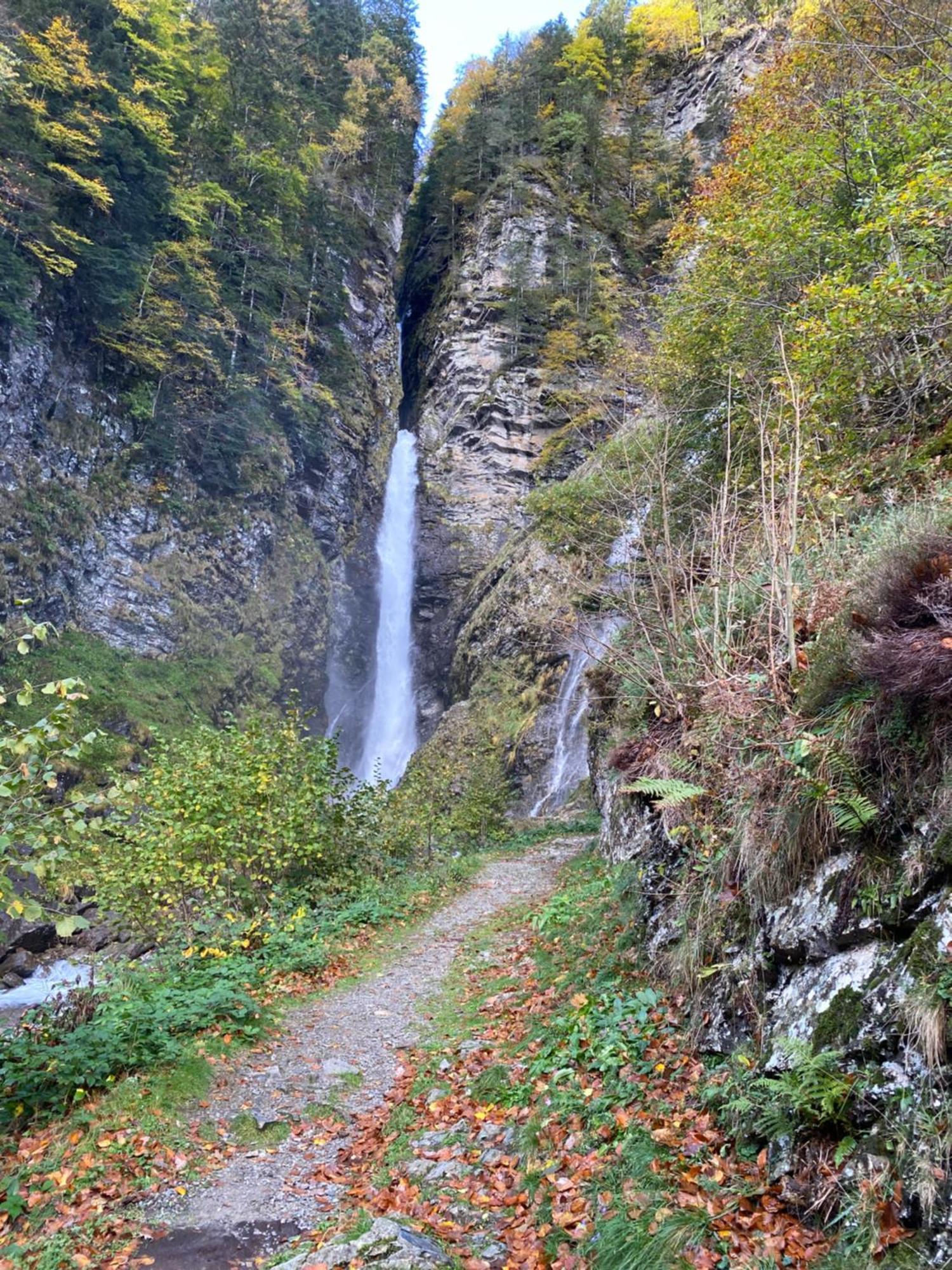 Fantastic Ground Floor Apartment Opposite Thermes Bagnères-de-Luchon Dış mekan fotoğraf