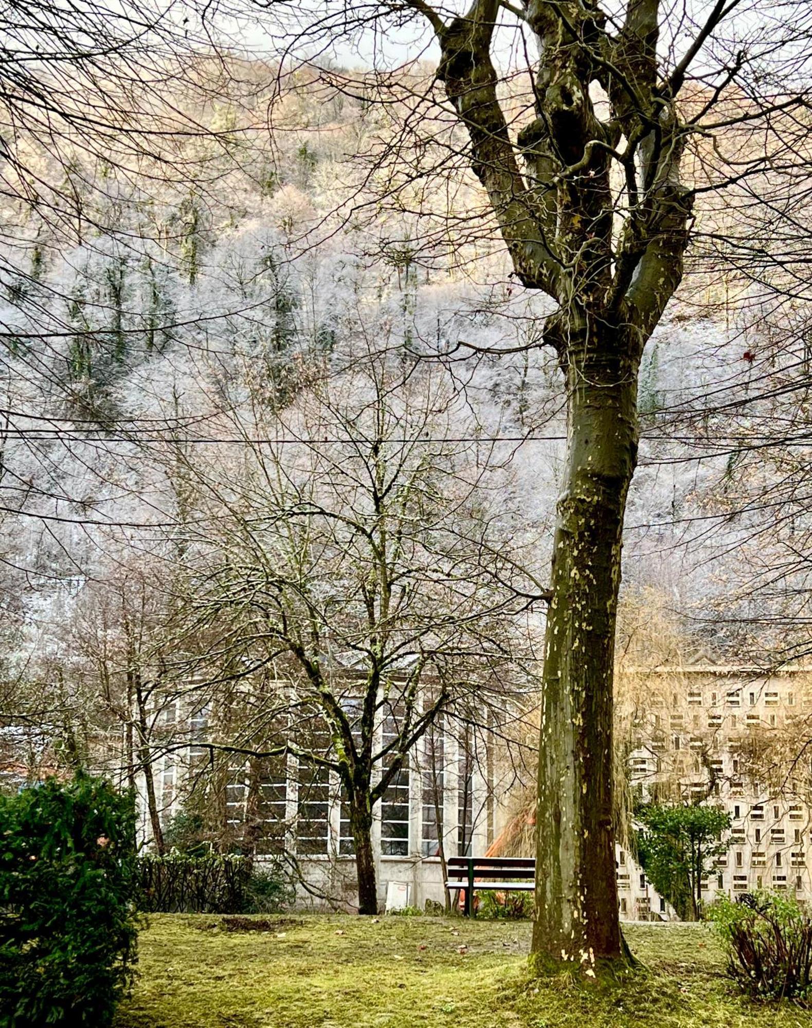 Fantastic Ground Floor Apartment Opposite Thermes Bagnères-de-Luchon Dış mekan fotoğraf